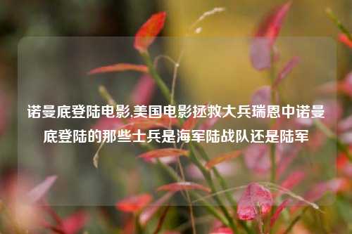 诺曼底登陆电影,美国电影拯救大兵瑞恩中诺曼底登陆的那些士兵是海军陆战队还是陆军