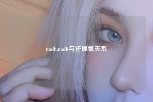 nadh,nadh与还原氢关系