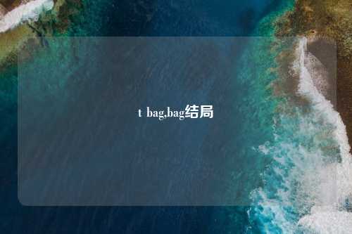 t bag,bag结局