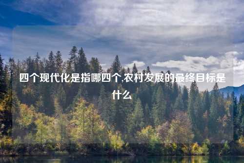 四个现代化是指哪四个,农村发展的最终目标是什么