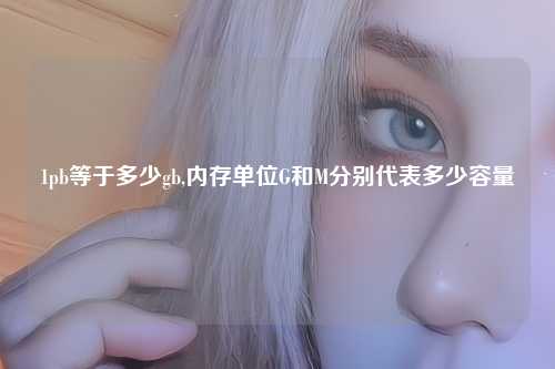 1pb等于多少gb,内存单位G和M分别代表多少容量