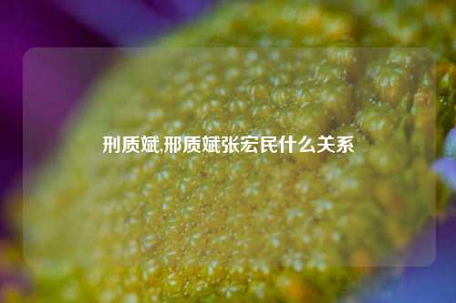 刑质斌,邢质斌张宏民什么关系