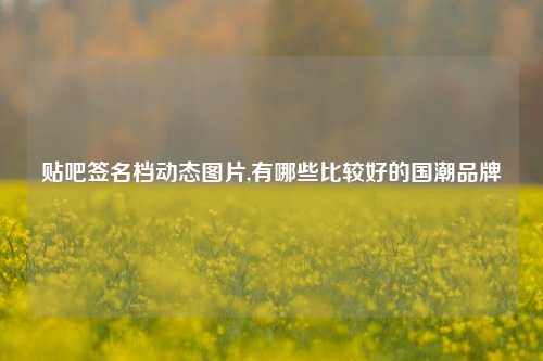 贴吧签名档动态图片,有哪些比较好的国潮品牌