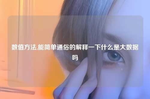 数值方法,能简单通俗的解释一下什么是大数据吗