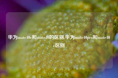 华为mate40e和mate40的区别,华为mate40pro和mate40e区别