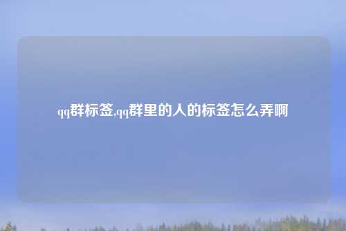 qq群标签,qq群里的人的标签怎么弄啊