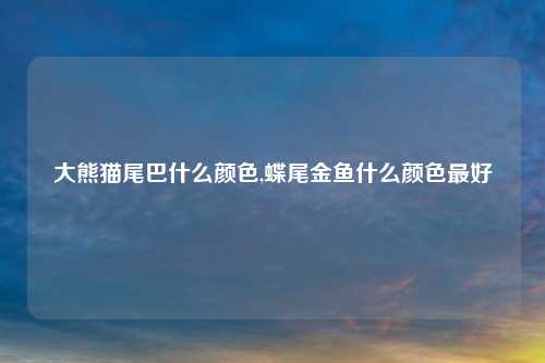 大熊猫尾巴什么颜色,蝶尾金鱼什么颜色最好