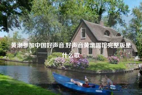 黄渤参加中国好声音,好声音黄渤踢馆完整版是什么歌