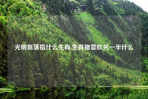 光明磊落指什么生肖,生肖猪喜欢另一半什么