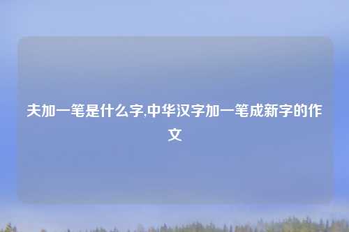 夫加一笔是什么字,中华汉字加一笔成新字的作文