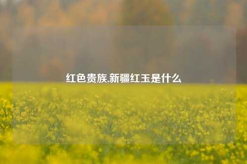 红色贵族,新疆红玉是什么