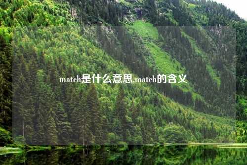 match是什么意思,match的含义