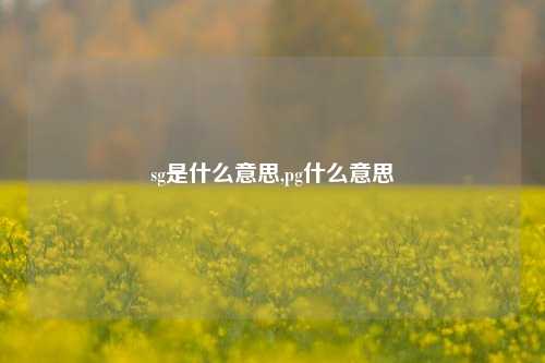sg是什么意思,pg什么意思