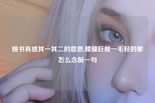 观书有感其一其二的意思,艨艟巨舰一毛轻的蒙怎么念前一句