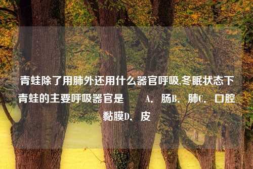 青蛙除了用肺外还用什么器官呼吸,冬眠状态下青蛙的主要呼吸器官是　　A．肠B．肺C．口腔黏膜D．皮