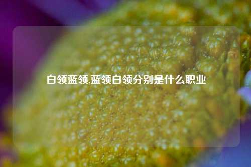 白领蓝领,蓝领白领分别是什么职业