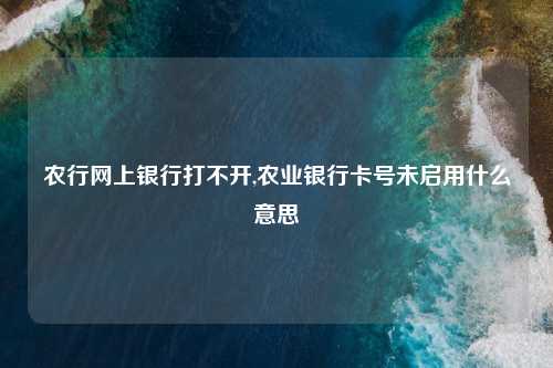 农行网上银行打不开,农业银行卡号未启用什么意思