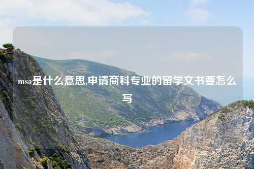 msa是什么意思,申请商科专业的留学文书要怎么写