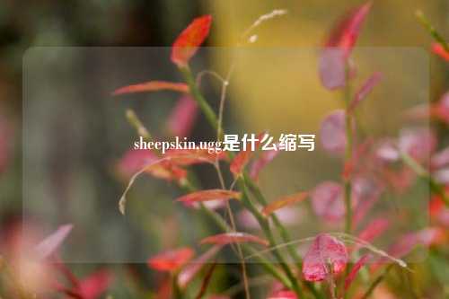 sheepskin,ugg是什么缩写