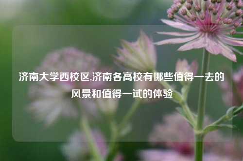济南大学西校区,济南各高校有哪些值得一去的风景和值得一试的体验