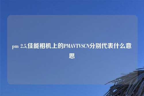 pm 2.5,佳能相机上的PMAVTVSCN分别代表什么意思