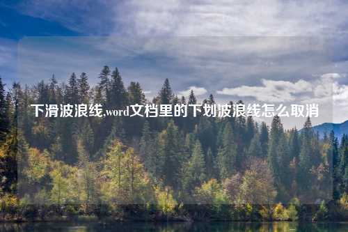 下滑波浪线,word文档里的下划波浪线怎么取消