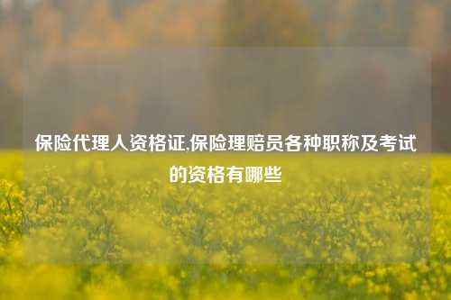 保险代理人资格证,保险理赔员各种职称及考试的资格有哪些