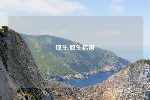 放生,放生标语