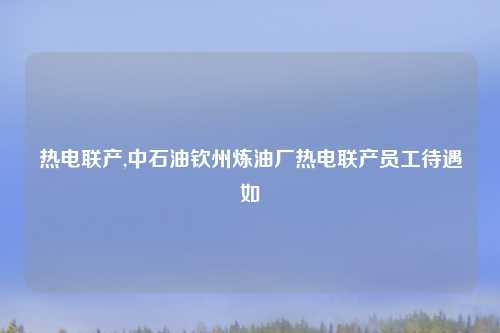 热电联产,中石油钦州炼油厂热电联产员工待遇如