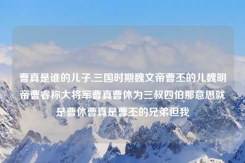 曹真是谁的儿子,三国时期魏文帝曹丕的儿魏明帝曹睿称大将军曹真曹休为三叔四伯那意思就是曹休曹真是曹丕的兄弟但我