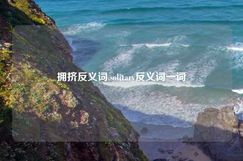 拥挤反义词,solitary反义词一词
