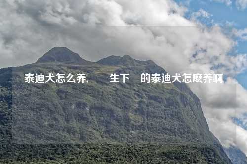 泰迪犬怎么养,剛剛生下來的泰迪犬怎麽养啊
