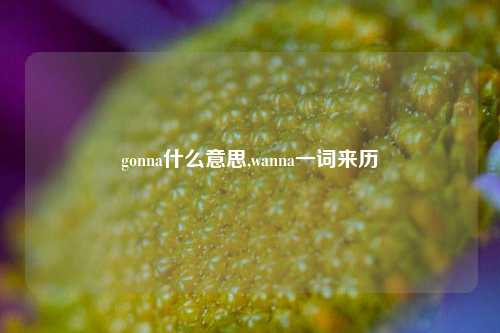 gonna什么意思,wanna一词来历