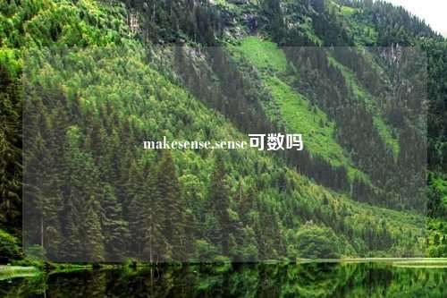 makesense,sense可数吗