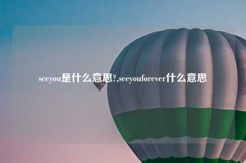 seeyou是什么意思?,seeyouforever什么意思