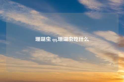 珊瑚虫 qq,珊瑚虫吃什么