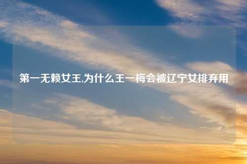 第一无赖女王,为什么王一梅会被辽宁女排弃用
