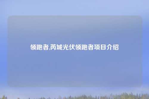 领跑者,芮城光伏领跑者项目介绍