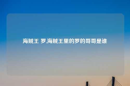 海贼王 罗,海贼王里的罗的哥哥是谁