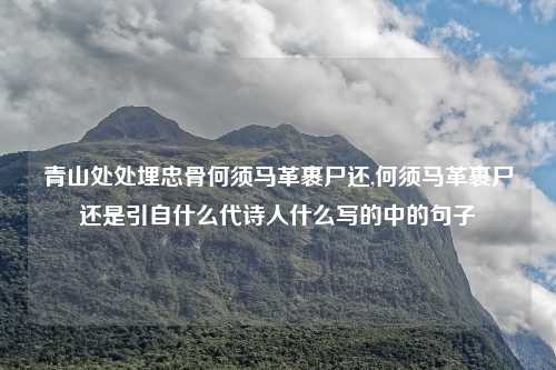 青山处处埋忠骨何须马革裹尸还,何须马革裹尸还是引自什么代诗人什么写的中的句子