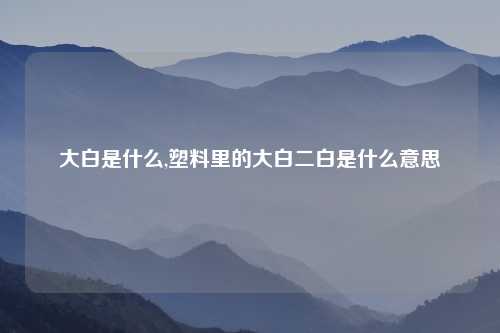 大白是什么,塑料里的大白二白是什么意思