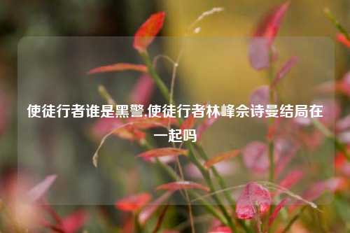 使徒行者谁是黑警,使徒行者林峰佘诗曼结局在一起吗