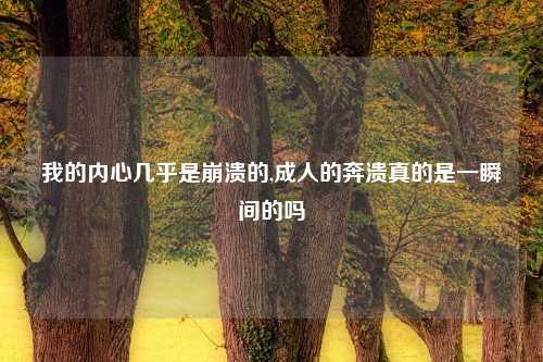 我的内心几乎是崩溃的,成人的奔溃真的是一瞬间的吗