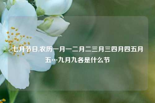 七月节日,农历一月一二月二三月三四月四五月五…九月九各是什么节