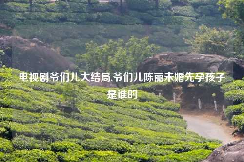 电视剧爷们儿大结局,爷们儿陈丽未婚先孕孩子是谁的