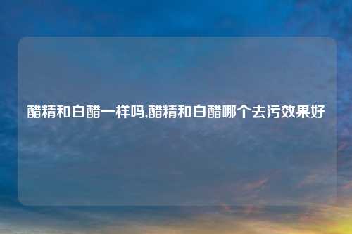醋精和白醋一样吗,醋精和白醋哪个去污效果好