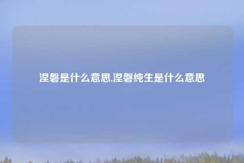 涅磐是什么意思,涅磐纯生是什么意思