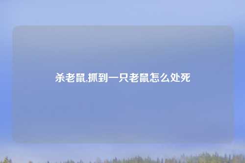 杀老鼠,抓到一只老鼠怎么处死