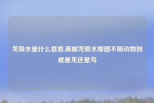 龙吸水是什么意思,高邮龙吸水那团不明动物到底是龙还是鸟