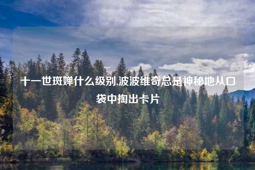 十一世斑婵什么级别,波波维奇总是神秘地从口袋中掏出卡片